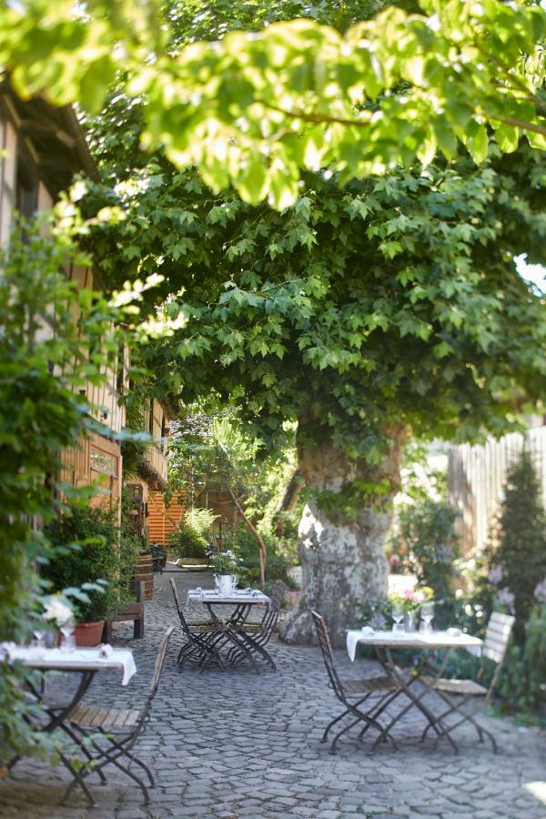 L'ours Couette-café